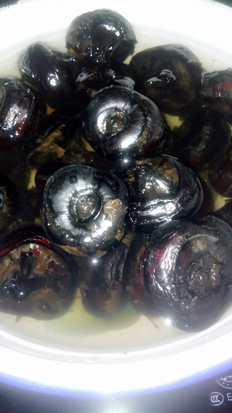 福罗贝做的水煮荸荠