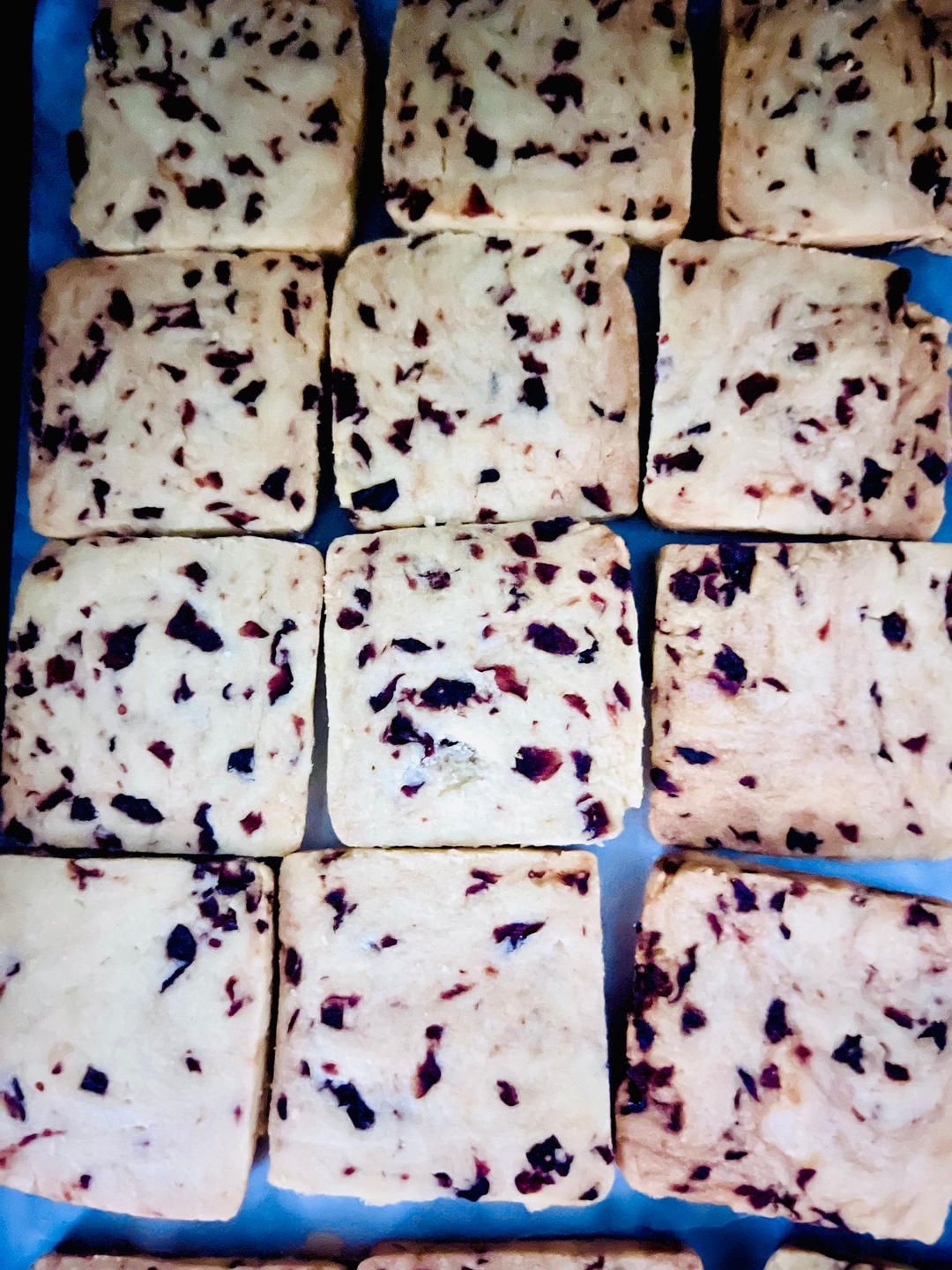 蔓越莓饼干·一次就能成功的饼干制作方法