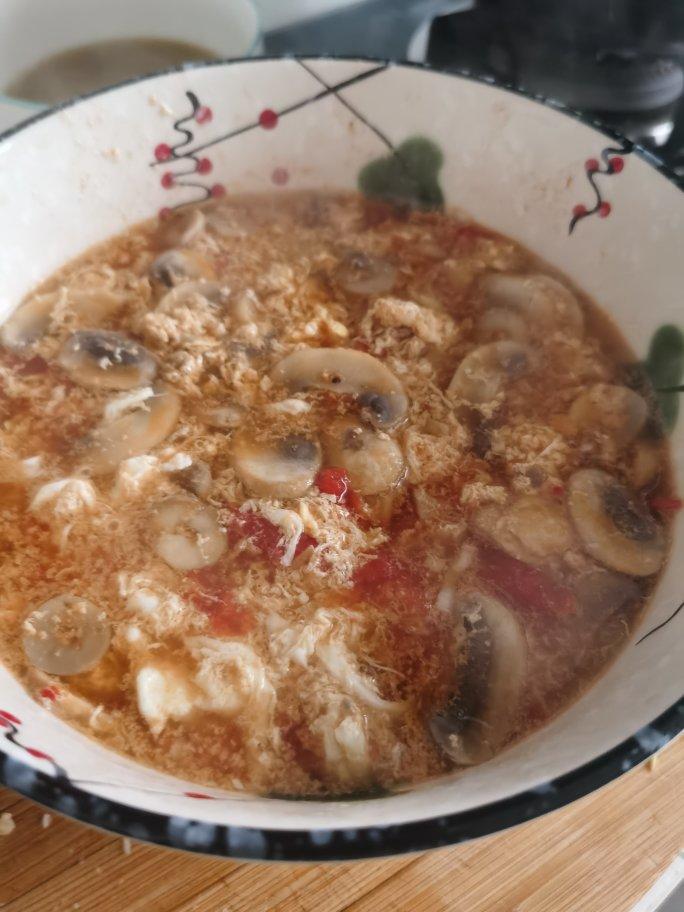 快手低卡营养汤🌿好喝不胖的番茄菌菇汤💯