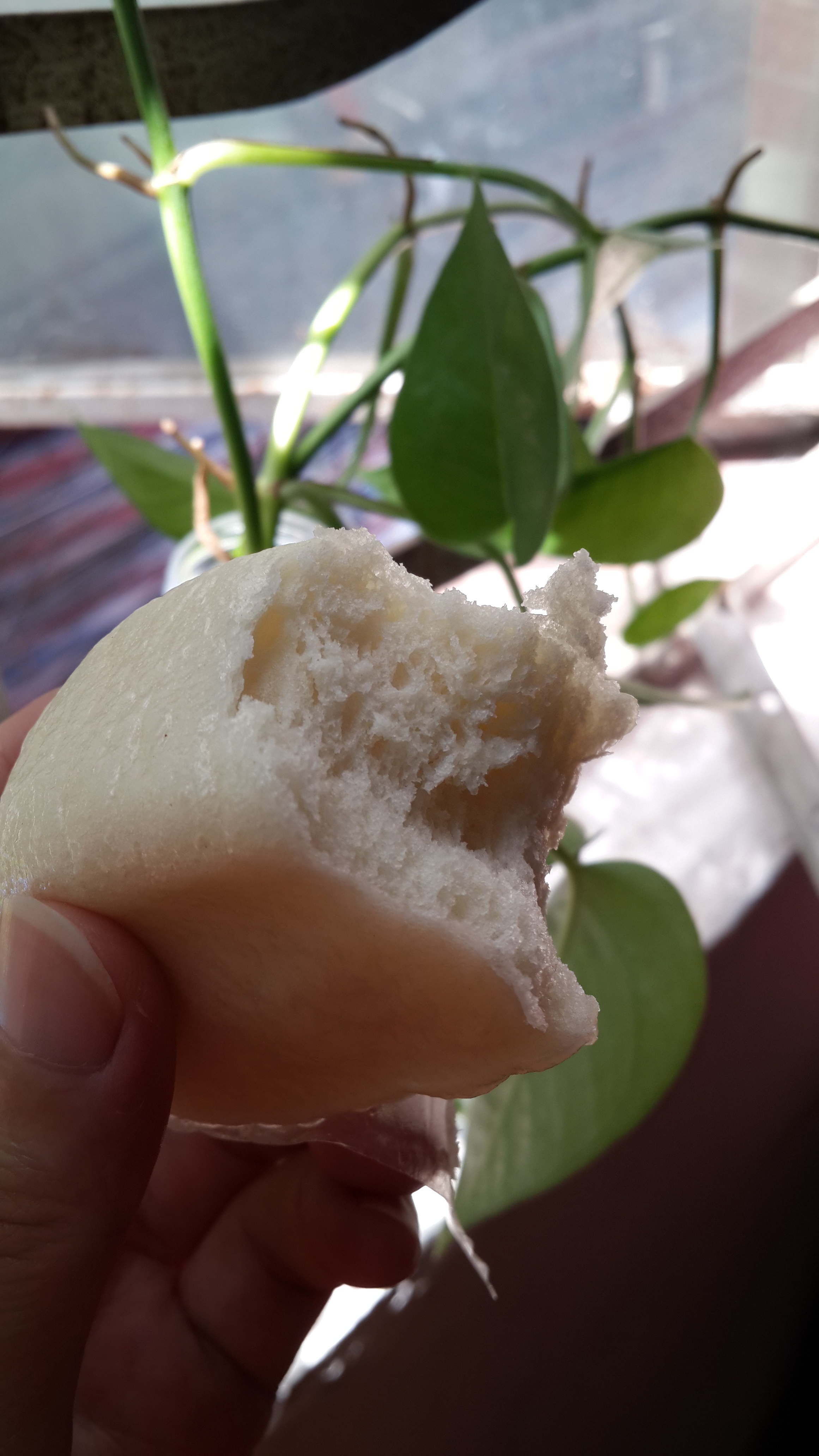 绵软的广式馒头