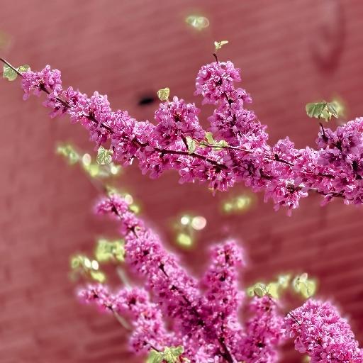 Tina_owpx