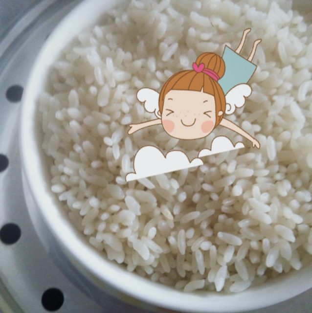 一个人的蒸米饭