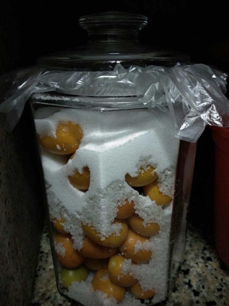 老中医推荐的止咳化痰咸金桔