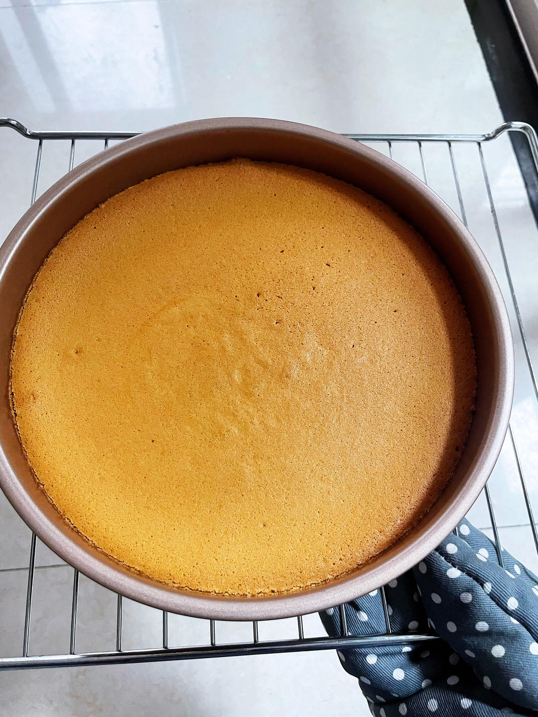 6寸基础版戚风蛋糕胚（附上我做的黄金果生日蛋糕）