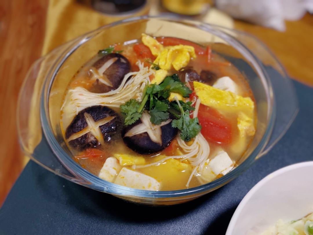 西红柿菌菇豆腐汤