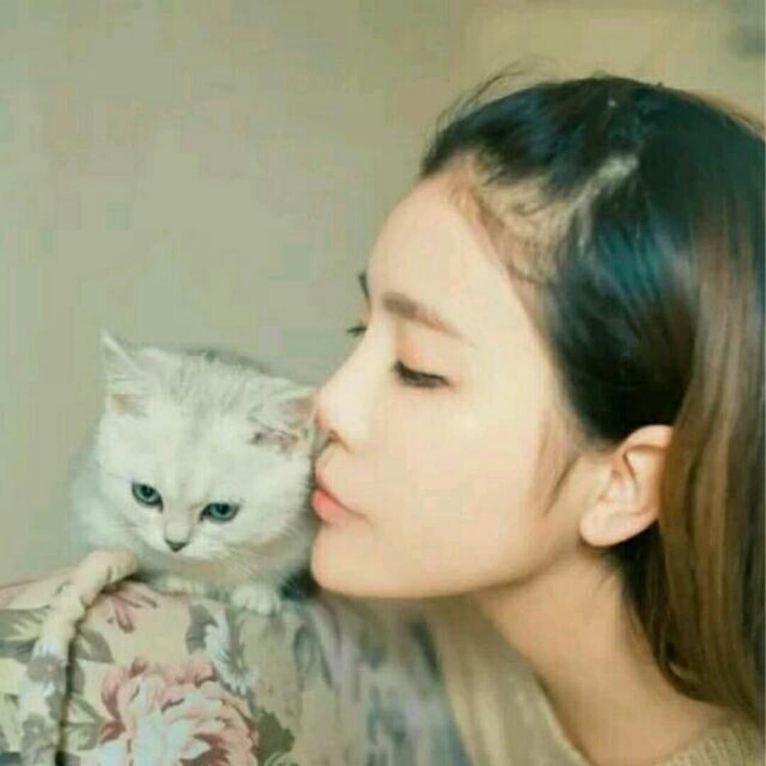 暖芯的殇