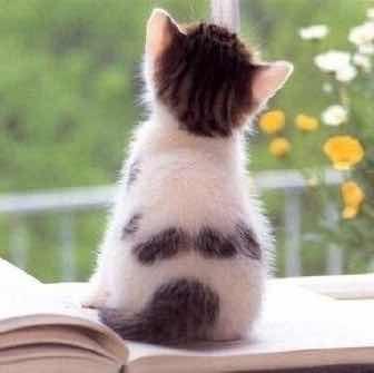 新手学做菜过起小日子