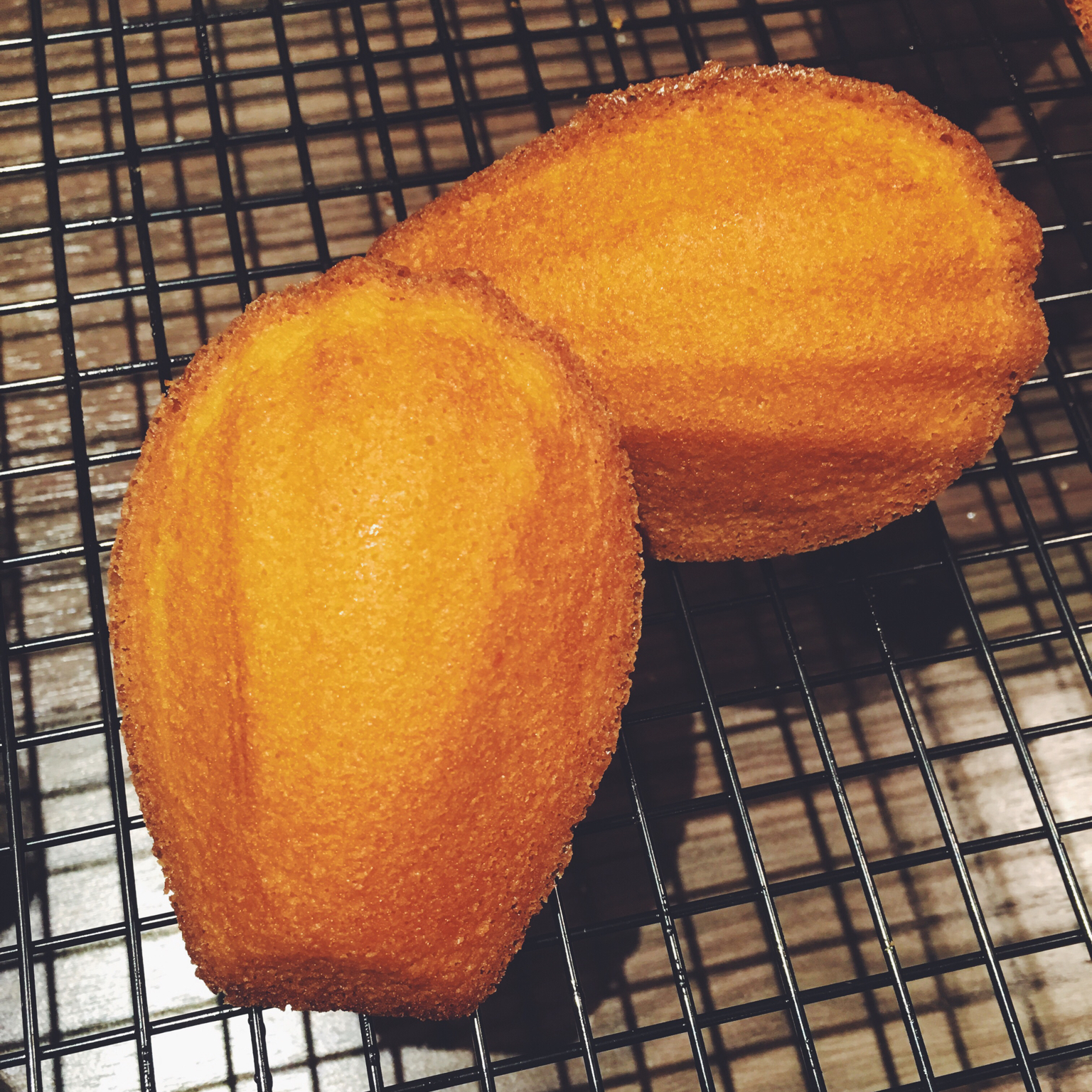 原味玛德琳