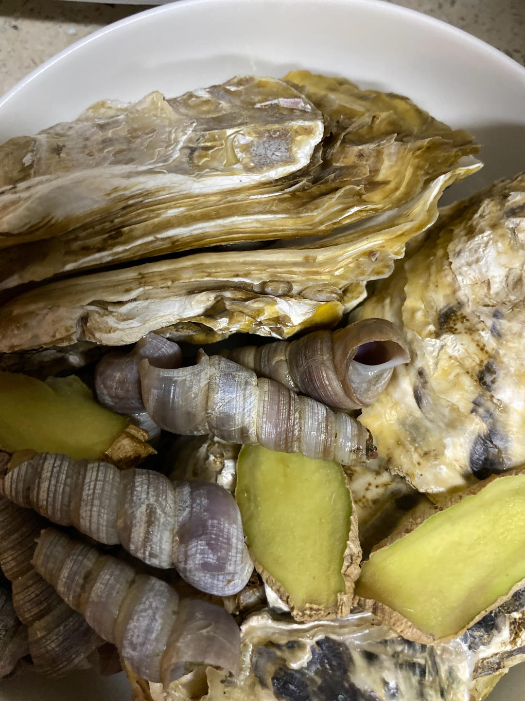 清蒸生蚝（附酱料做法）