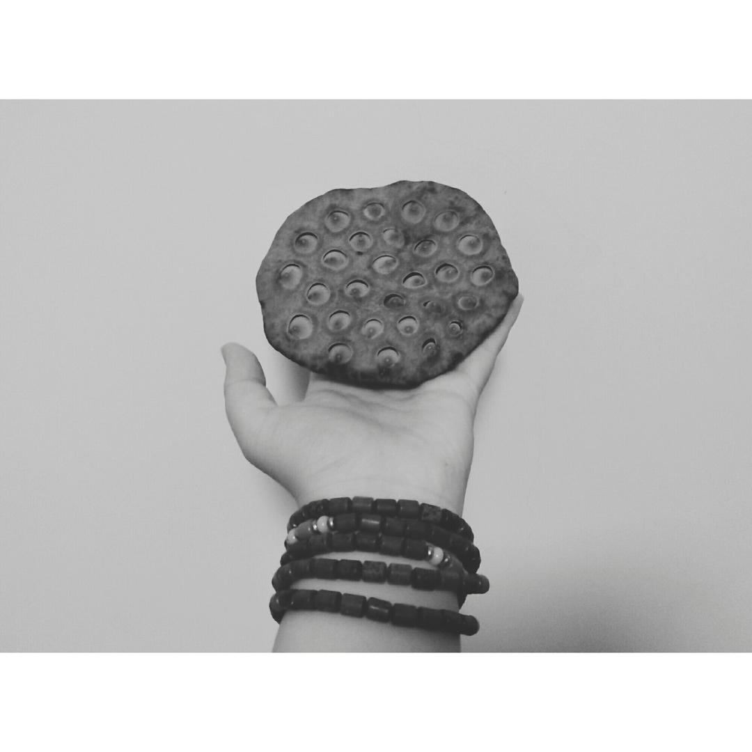 谢谢你们的关注:)