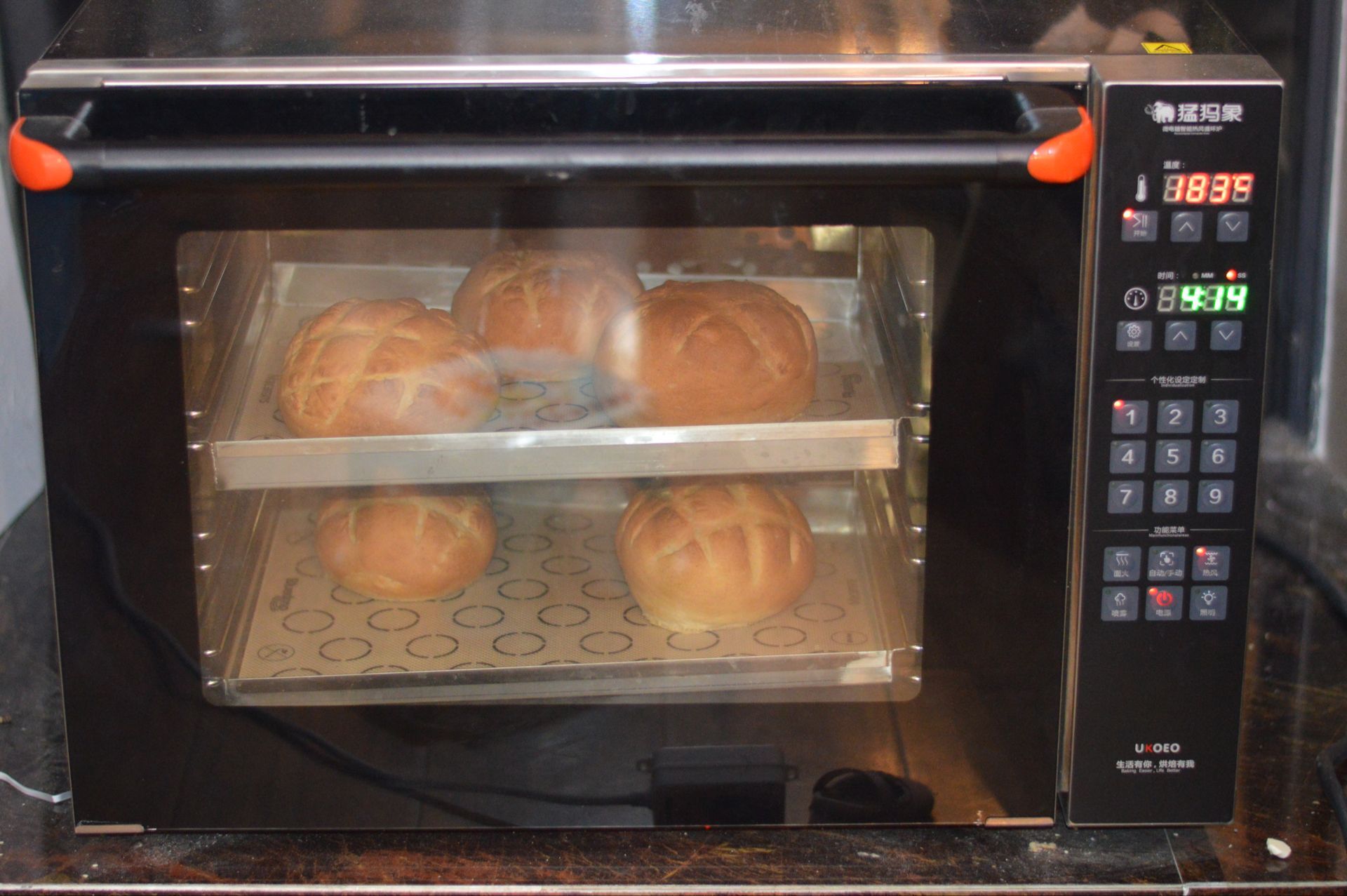 芒种麦香面包的做法 步骤9
