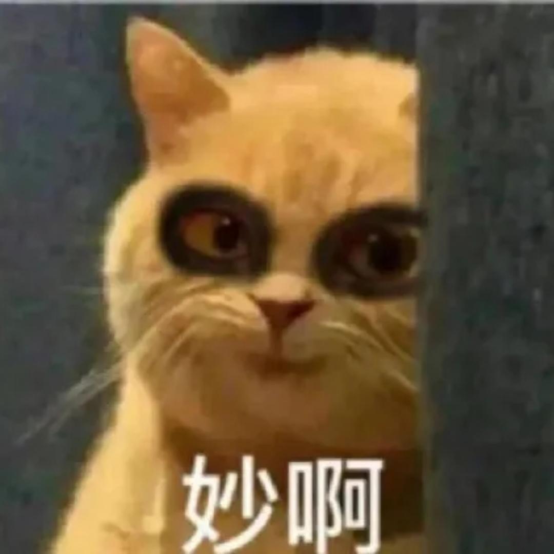 小熊Amylie