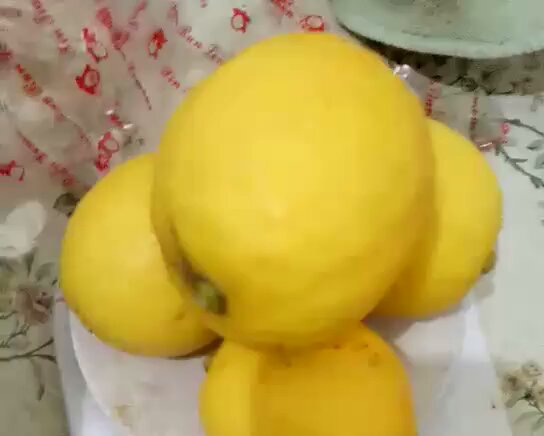 川贝柠檬膏的做法 步骤1