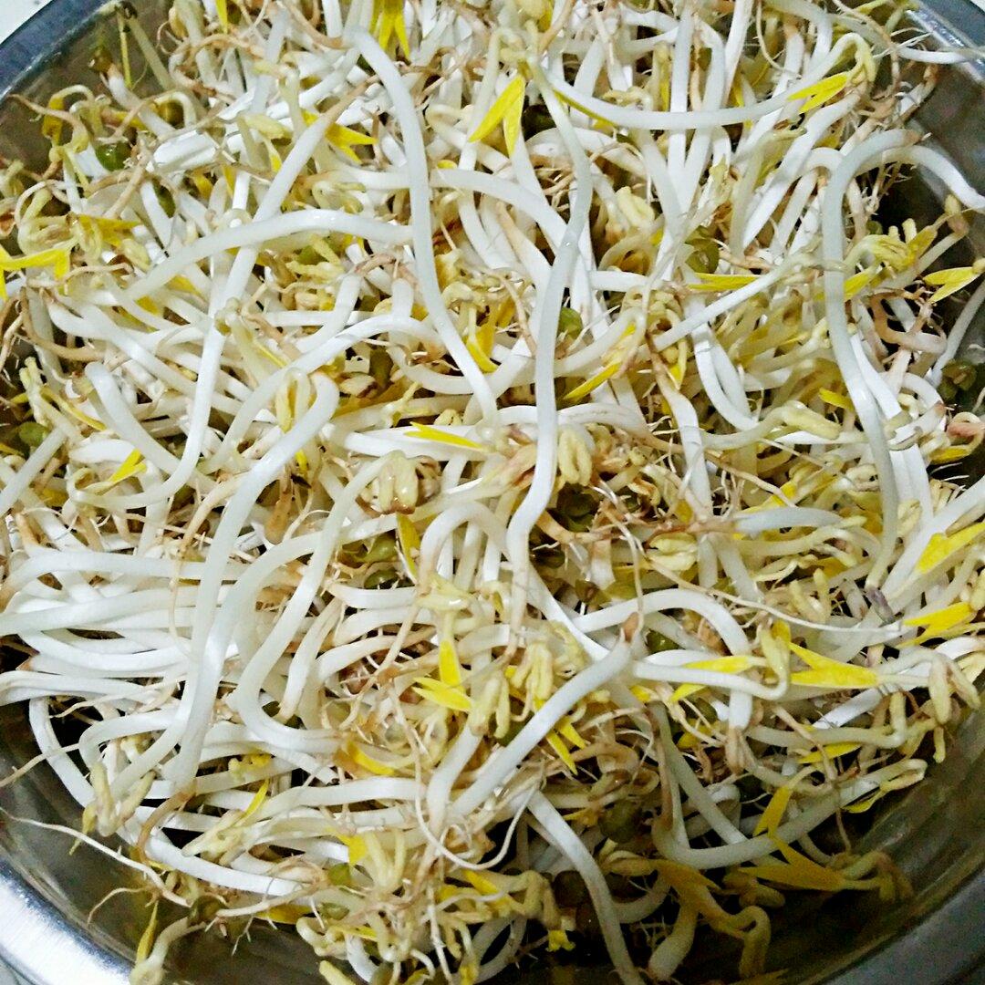 自发豆芽（可乐瓶发豆芽0失败！）