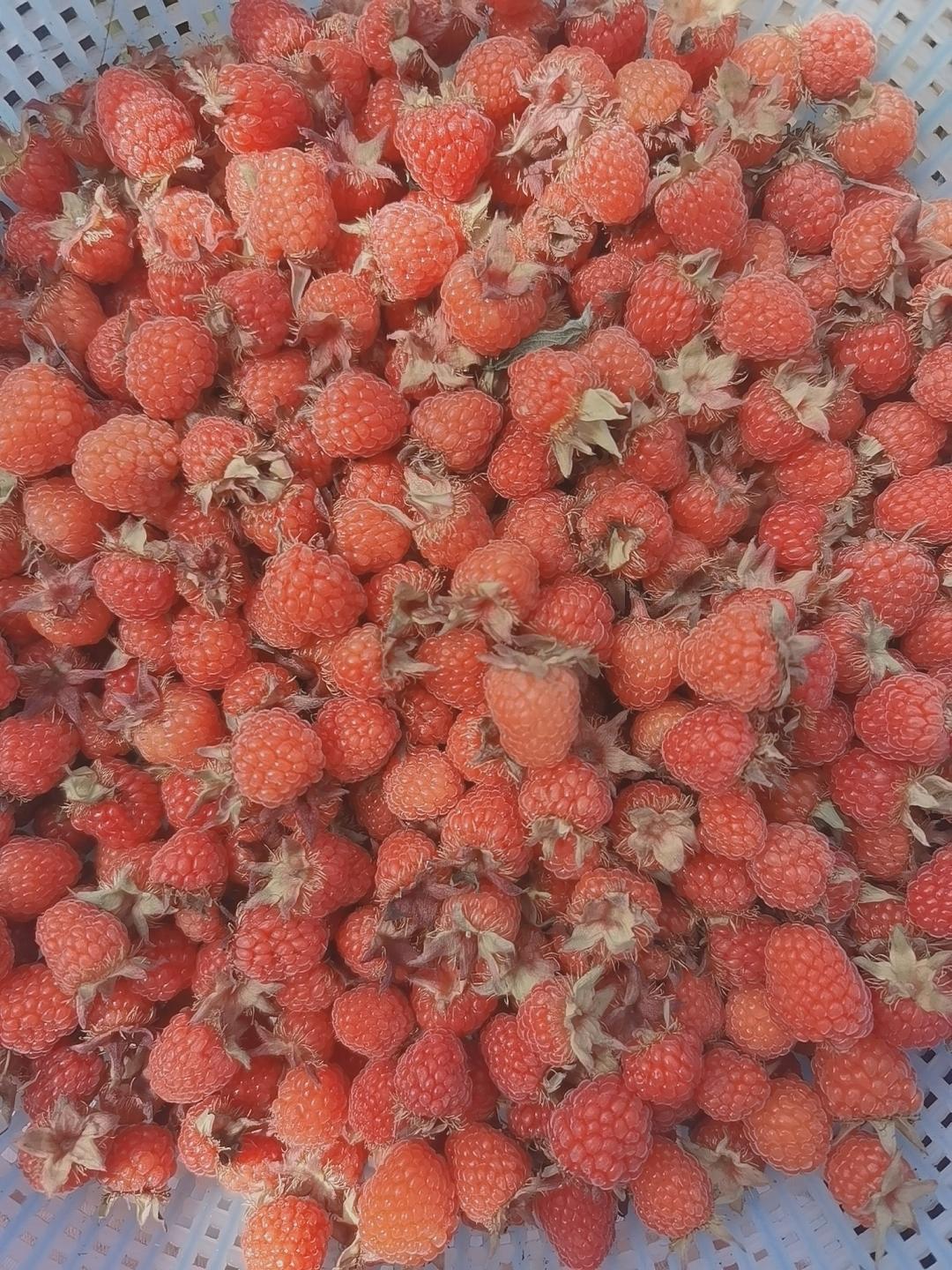 树莓果酱