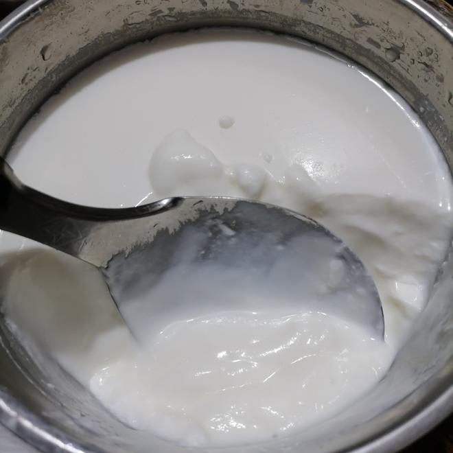 自制酸奶（只用酸奶＋牛奶）用料少 零基础的做法