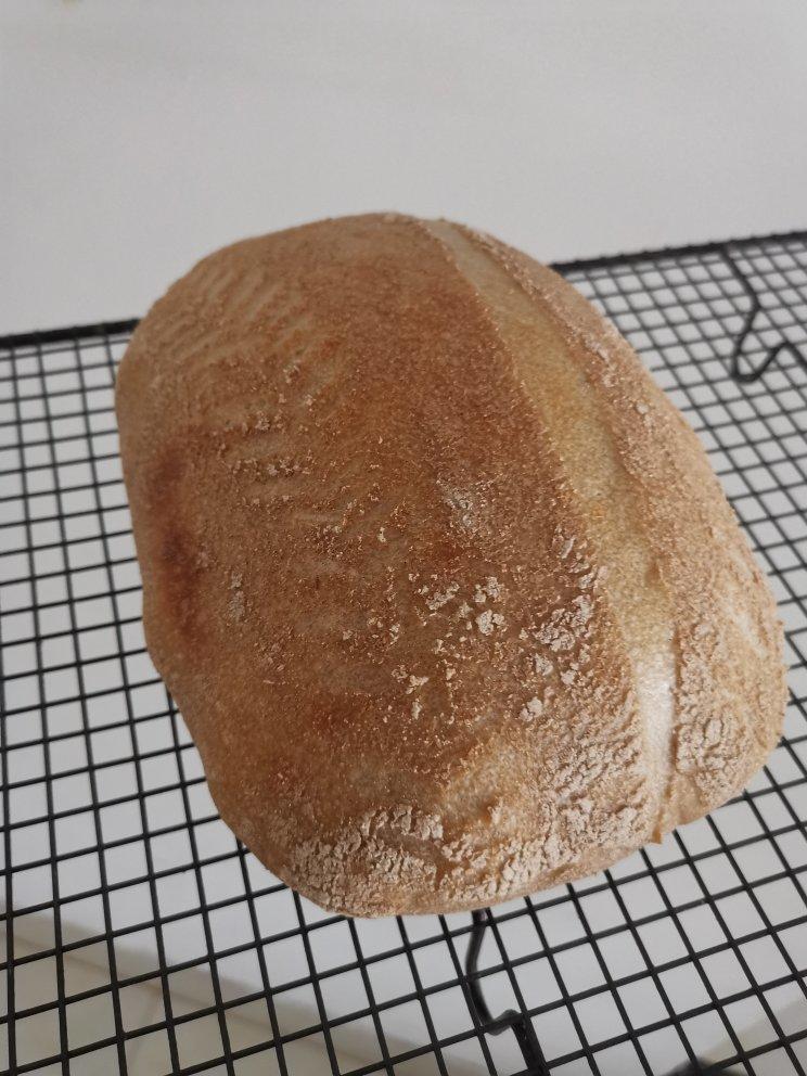 视频教程 天然酵种欧包 基础配方＆制作流程