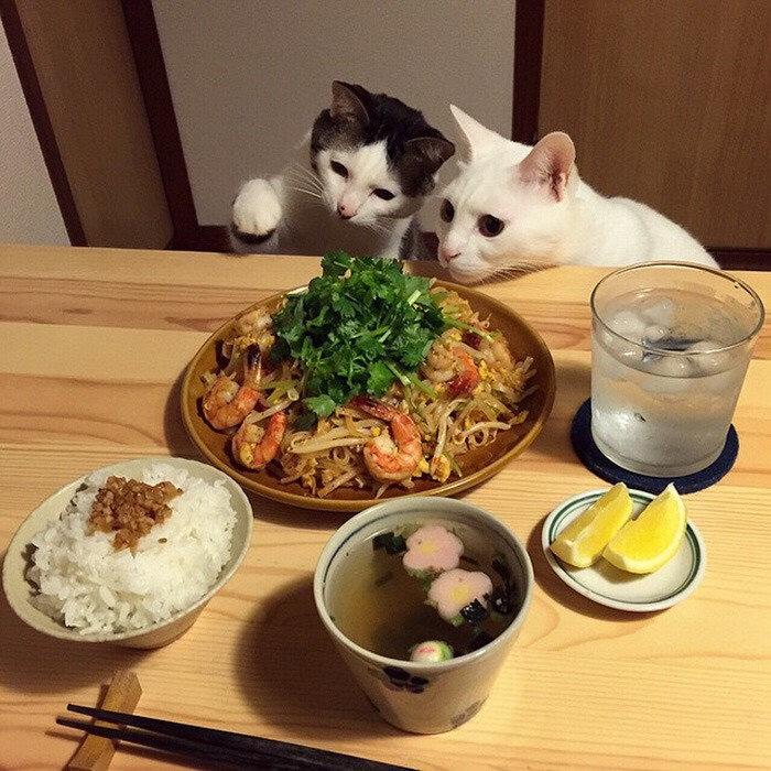 璨宇啊