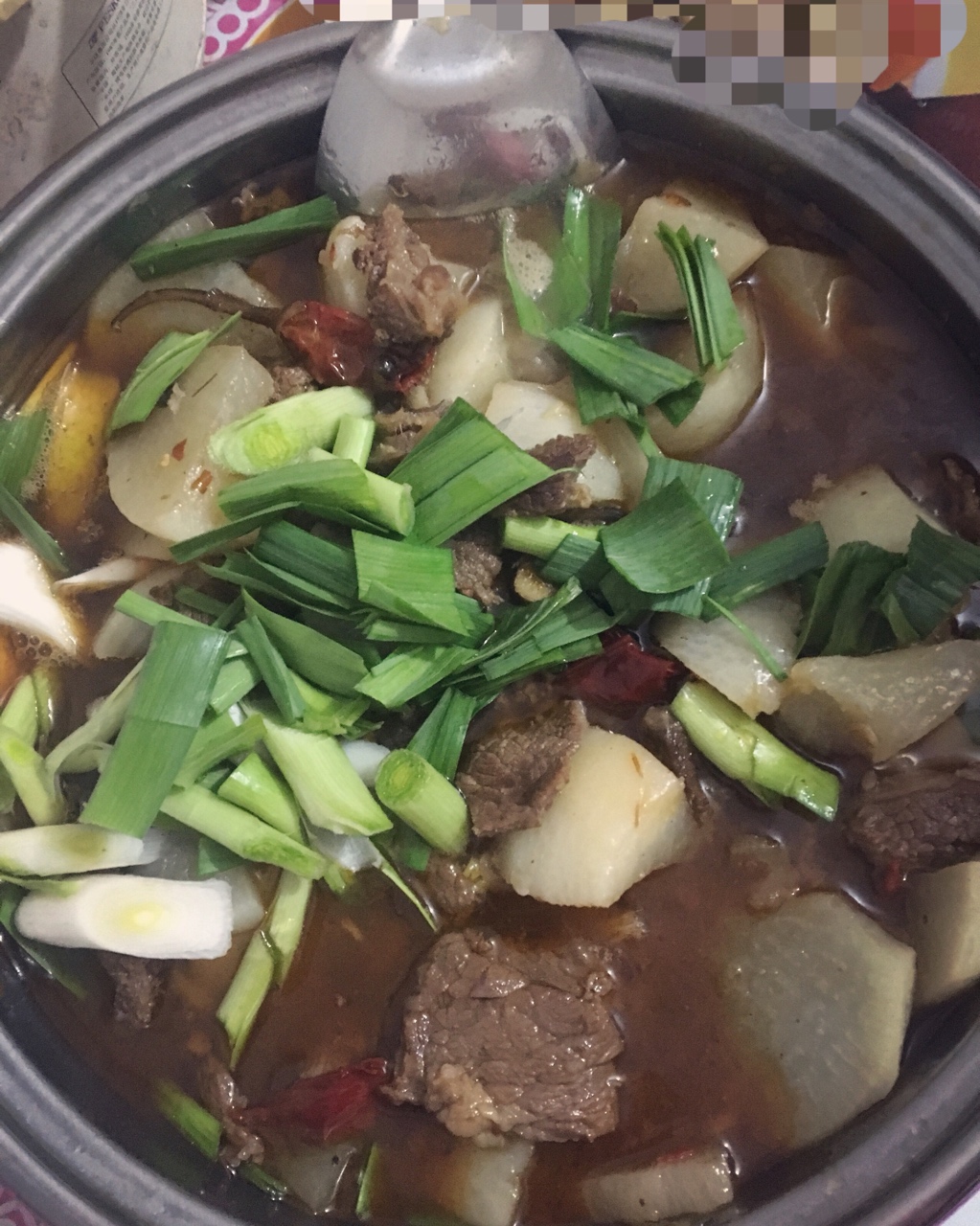 香辣牛肉炖萝卜 Spicy Beef with Turnip