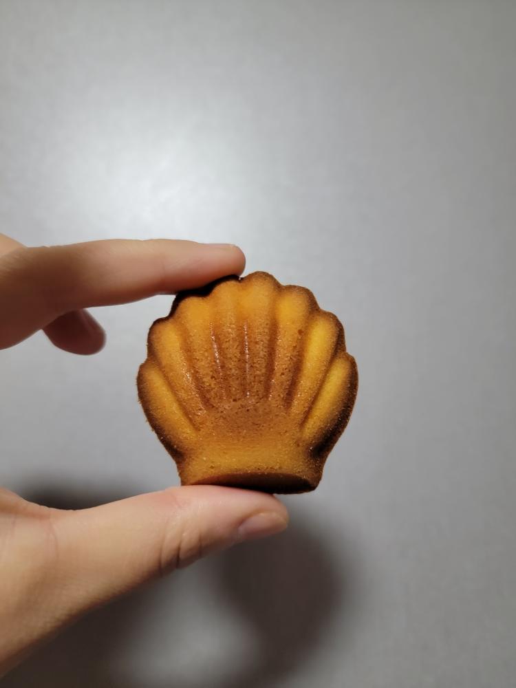 橙味玛德琳