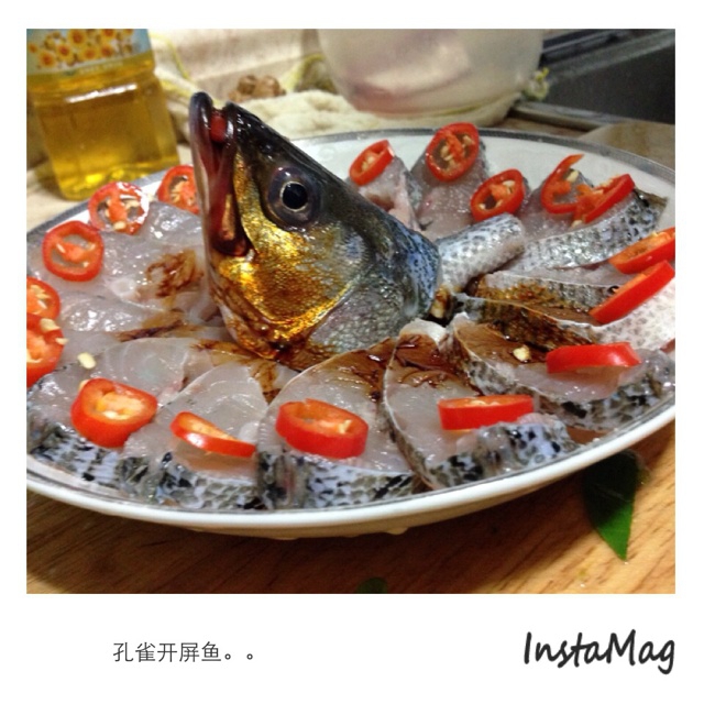 孔雀开屏鱼