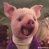 晓丹学妹