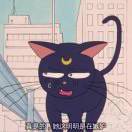 颜同学不想写代码