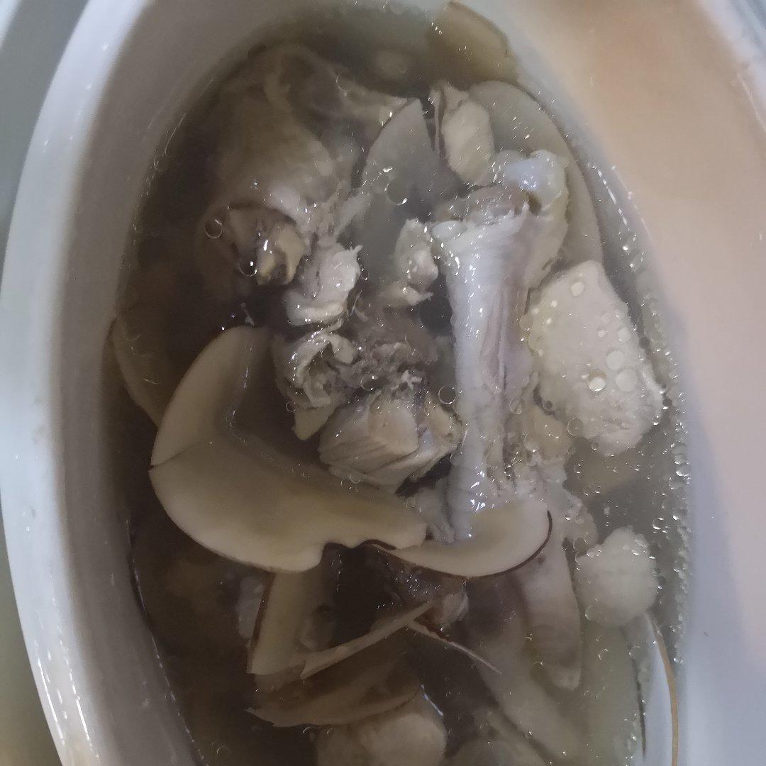海底椰炖鸡汤