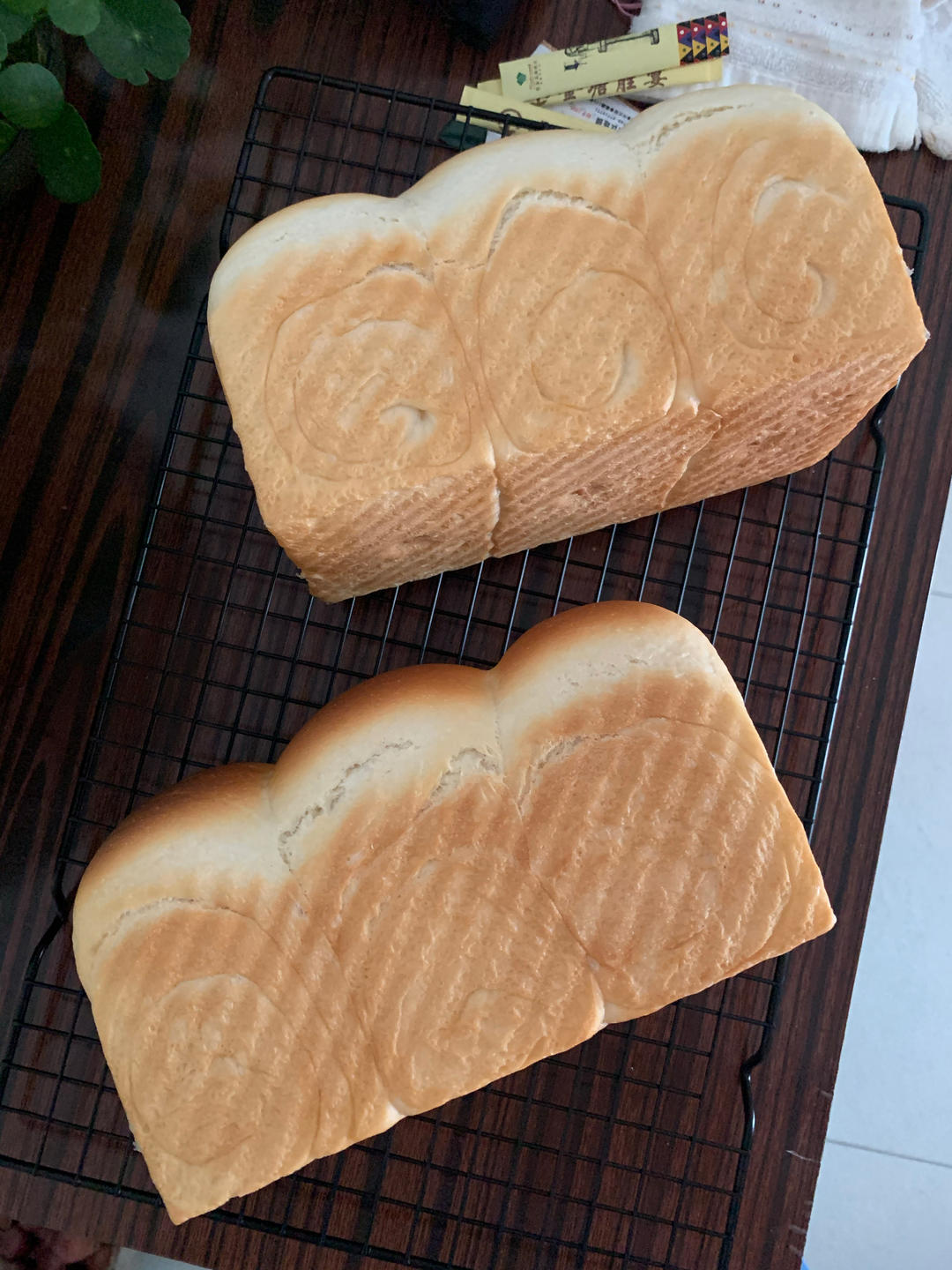 手揉🐄牛奶吐司🍞（蜡笔小新拯救手套膜）