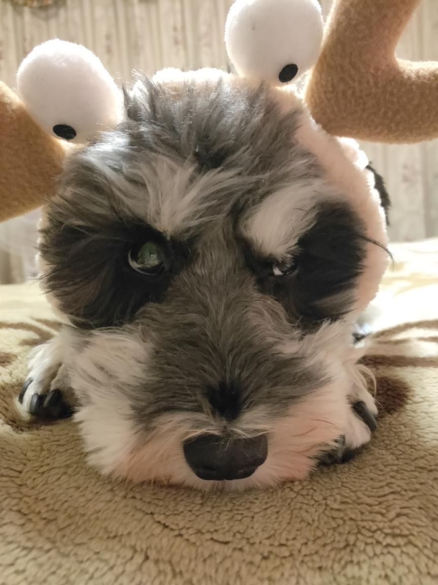 无黄油低油低糖抹茶蔓越莓饼干