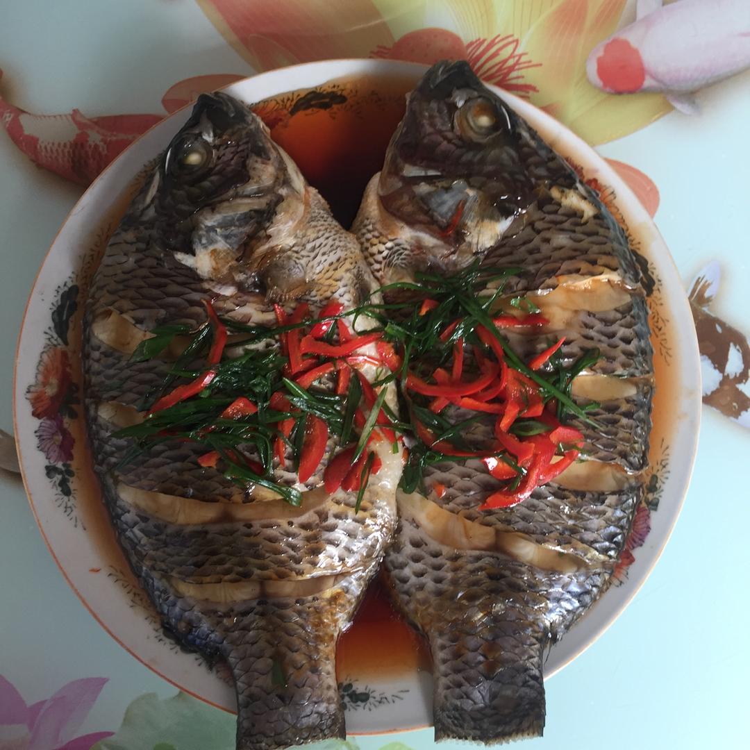 清蒸非洲鲫鱼