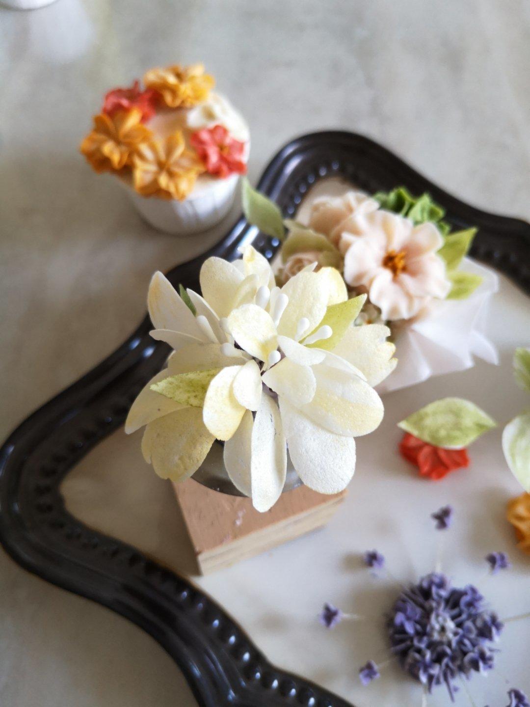 开始我的裱花学习