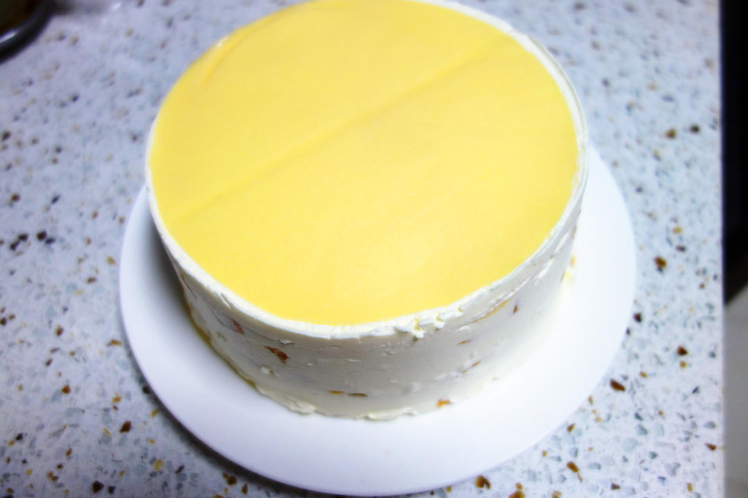 芒果千层（手残党福音）