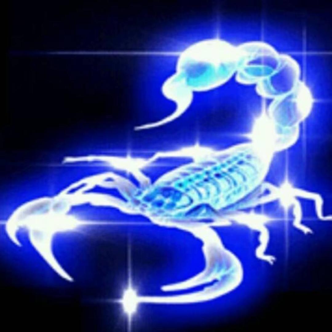 韋爵爺