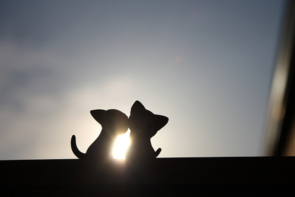 何莎莎莎莎_pcsq