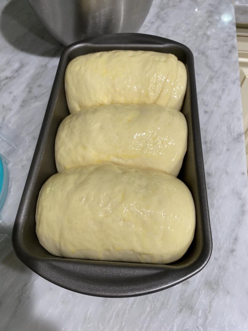 基础面包制作 Basic Bread (Loaf&Roll)