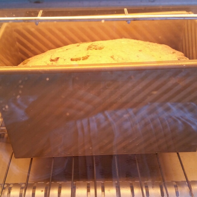 Malt Loaf 【保罗教你做面包S01E01】的做法 步骤10