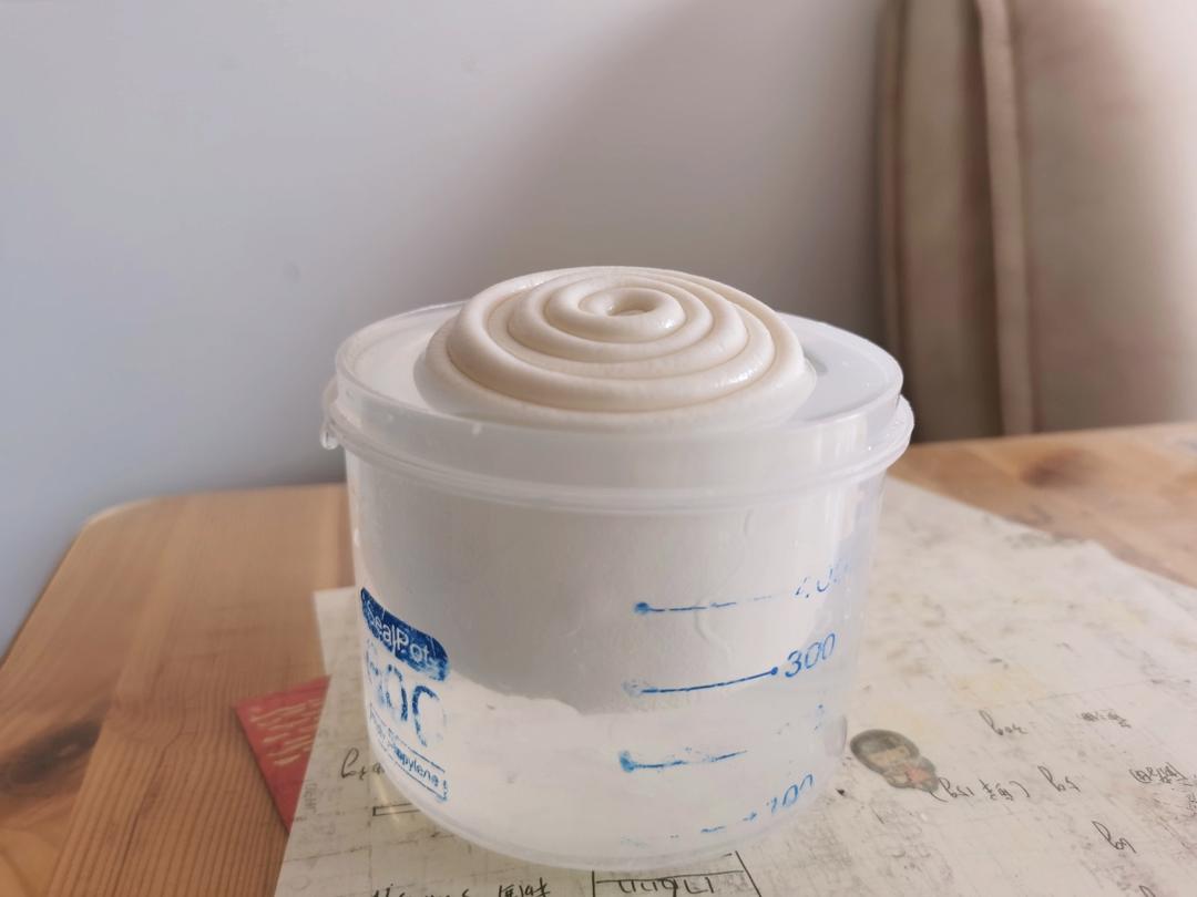意大利水式酵母（Pasta Madre)