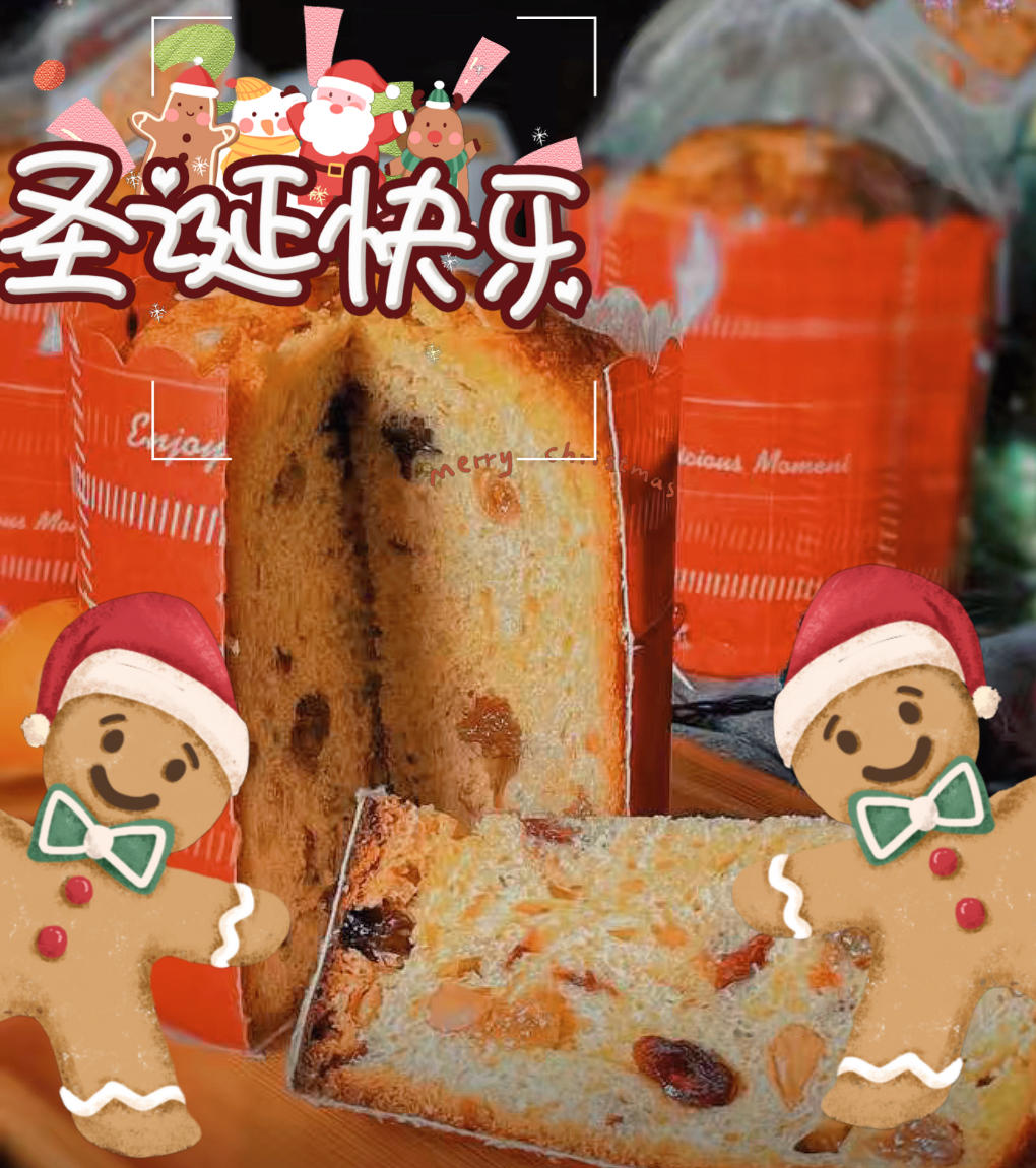 圣诞面包～潘娜托尼Panettone * 博世厨师机