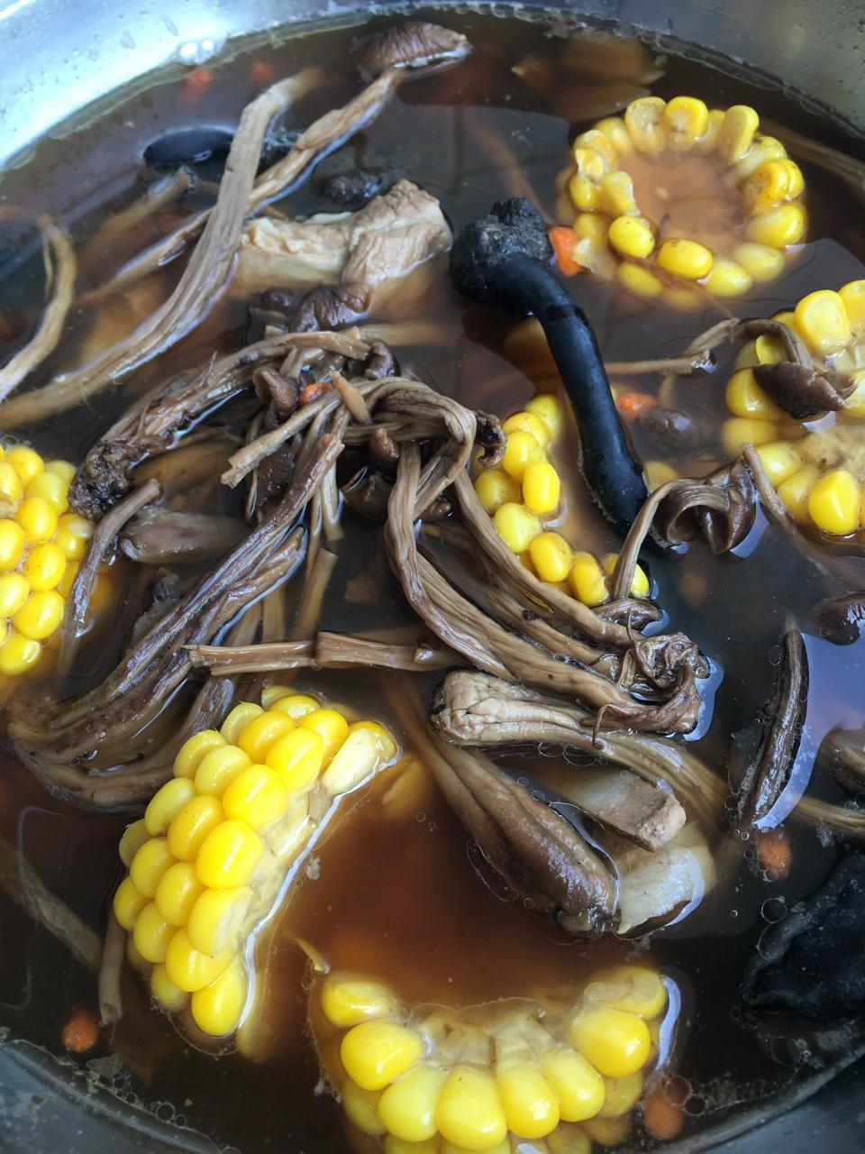 广氏传统茶树菇灵芝排骨老火靓汤