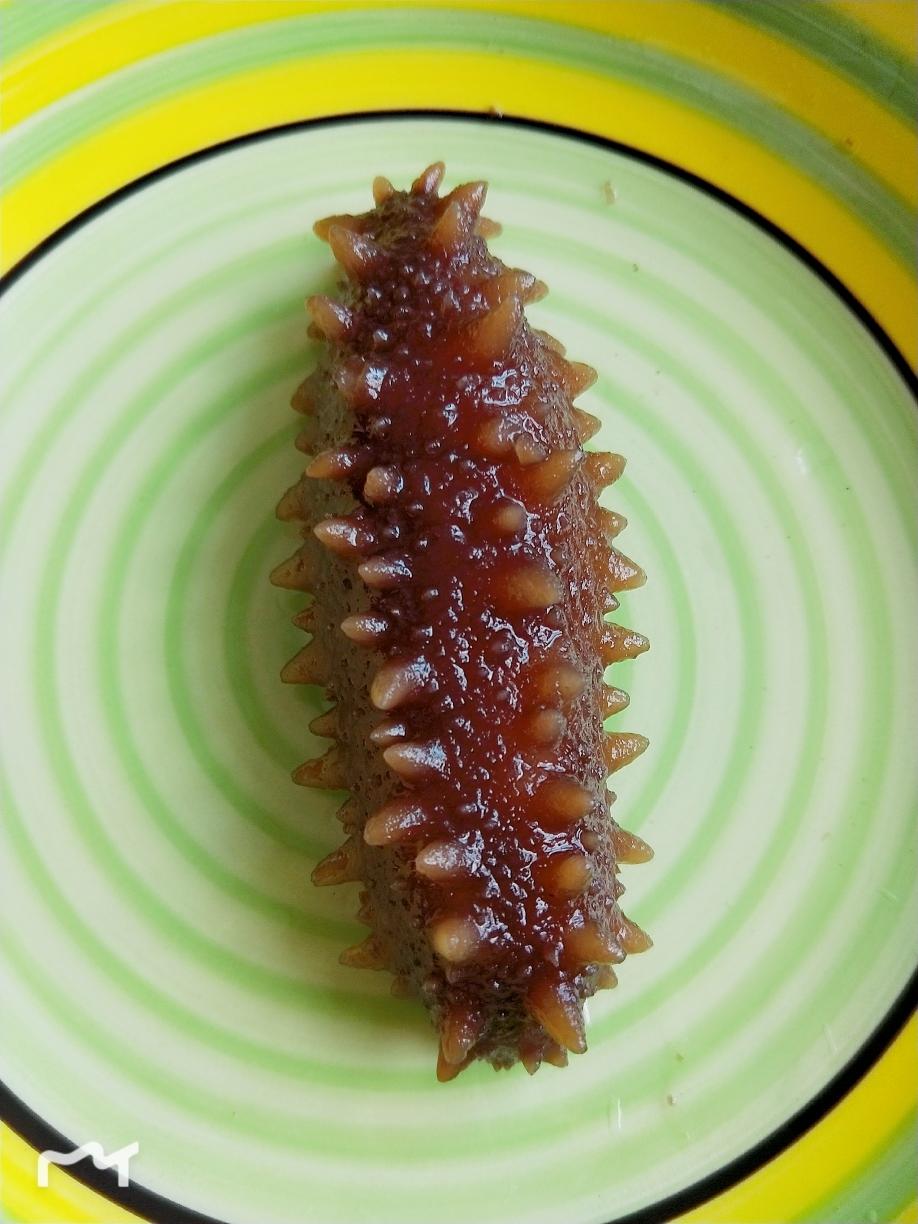 泡发辽参的做法