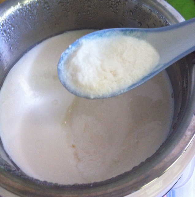 自制酸奶