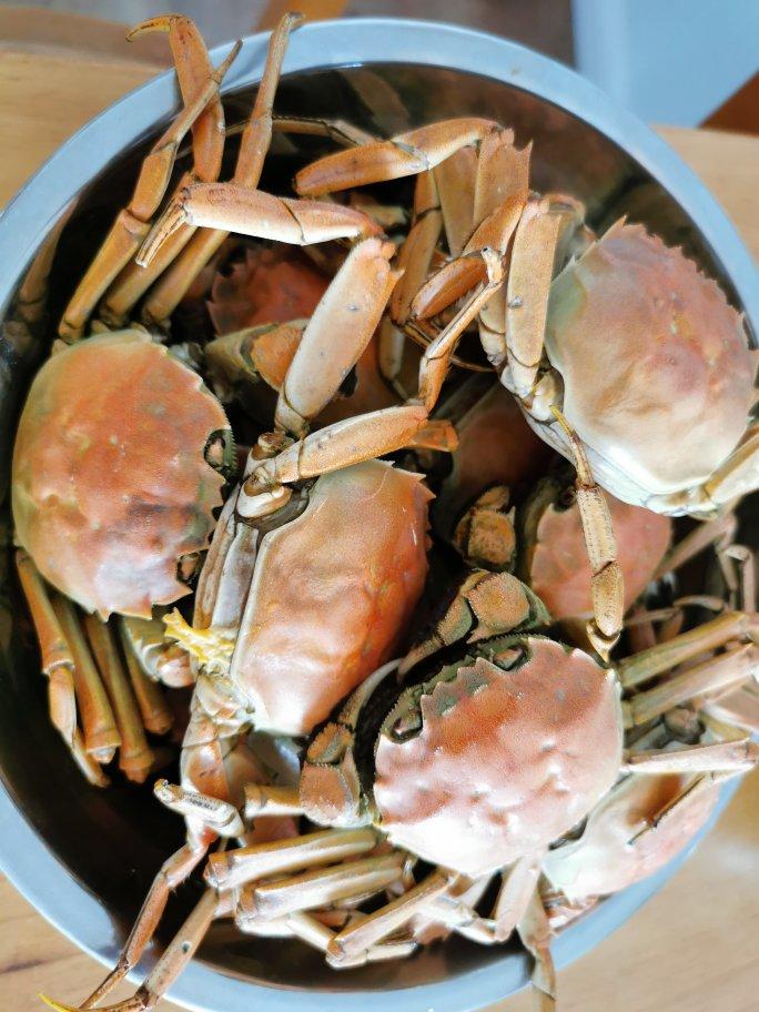 清蒸大闸蟹