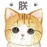 Dear牛