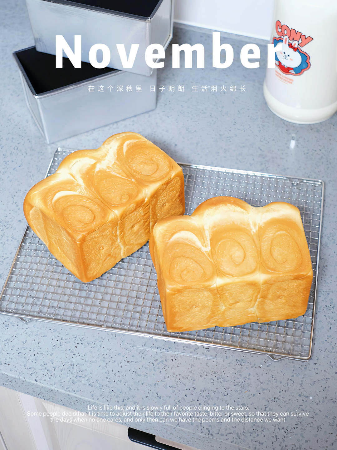 流泪吐司～生吐司           （直接法）