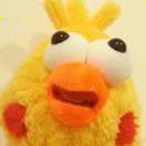 星星小雨落在青青草原