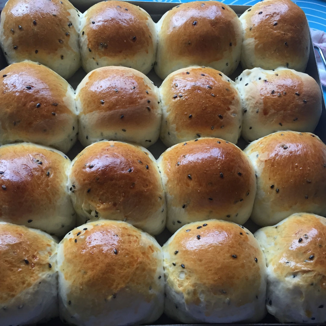 鲜奶油小餐包（一次发酵）