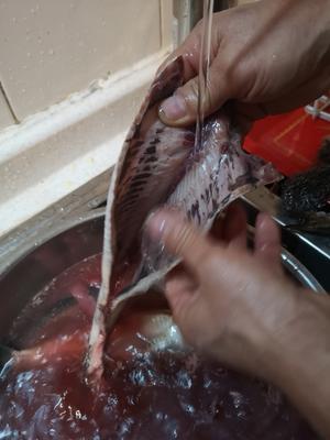 茄汁青鱼的做法 步骤2