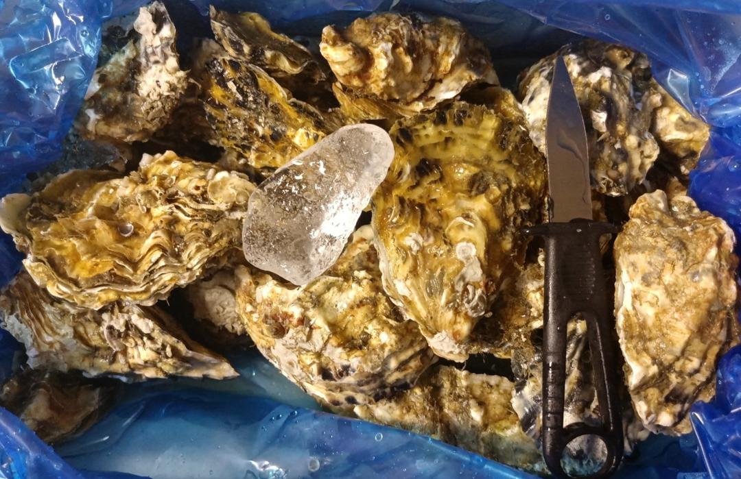 超快开生蚝（无开蚝刀）