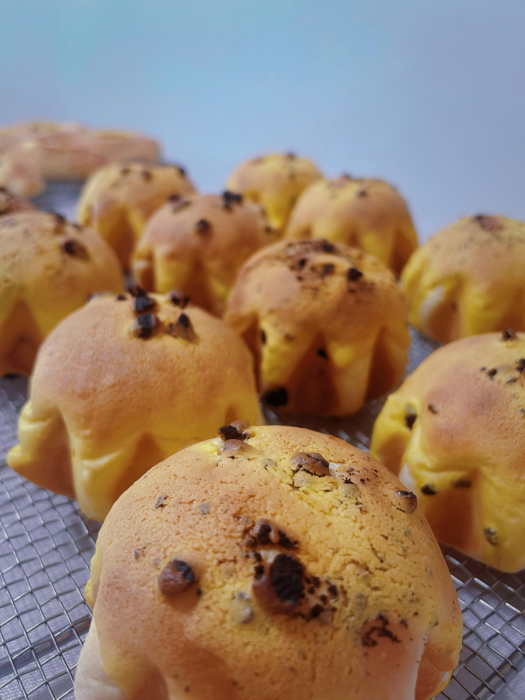 好吃停不下来，奥利奥芝士包